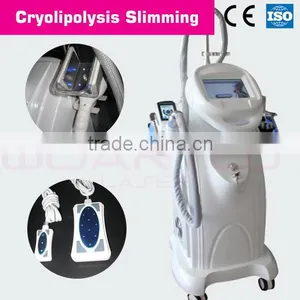 Professional Fat Freezing Machine/slimming Equipment for Salon/clinic Use Fat Freezing System Sculptor Body Massager thumbnail-1