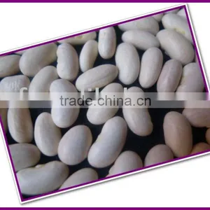 CHINA White Kidney Bean (bashaki ) 2010 thumbnail-1