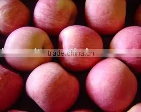 Fuji Apple thumbnail-1
