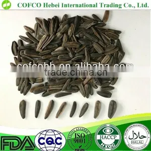 Roasted BLACK SHELLsunflower Seeds With All Flavors thumbnail-1