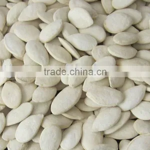 Roasted and Salted Snow White Pumpkin Seeds 11cm 13cm thumbnail-1