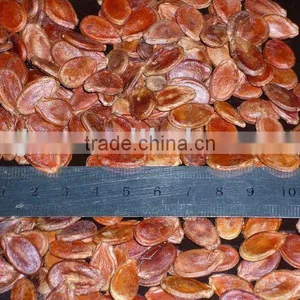 New Crop Red Watermelon Seeds thumbnail-1