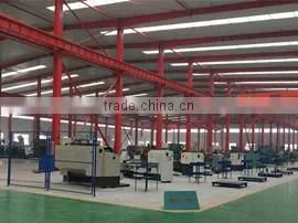 Shandong Double Crane Machinery Manufacture Co., Ltd. company overview - view 2 thumbnail