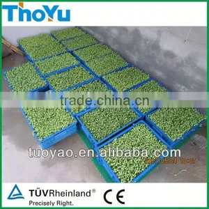 THOYU Brand Salable Plastic Seed Germination Tray With Best Price(Mob:+86-15903675071) thumbnail-1