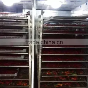 Hot Air Circulation Industrial Pepper Drying Machine thumbnail-3
