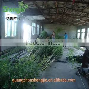 SJLJ013369 Artificial Bamboo Plant / Fake Plastic Bamboo Stick / Artificial Plant for Garden Fence Decoration thumbnail-2