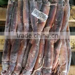 Seafrozen BQF Argentinus Illex Squid thumbnail-4