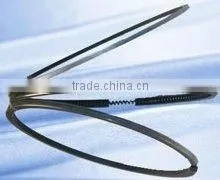 Piston Ring thumbnail-1