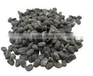 Psoralea Corylifolia thumbnail-1