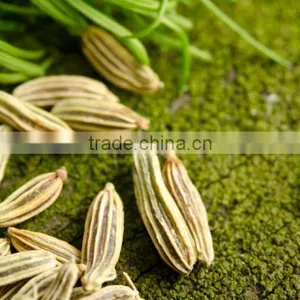 DILL SEED EXTRACT thumbnail-2