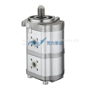 New Product Constant Flow Pump Hydraulic Gear Pump for DONG FANG HONG Tractor Pump CBZ-F20-8AFK-L thumbnail-1