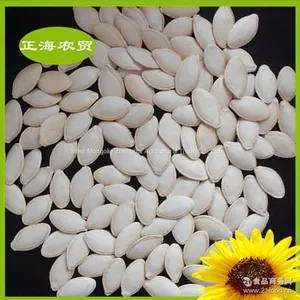 Pumpkin Seeds Shine Skin thumbnail-2