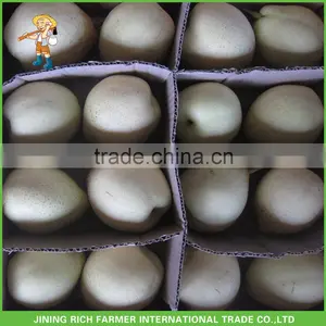 Fresh Fruit Ya Pear Market Price thumbnail-1
