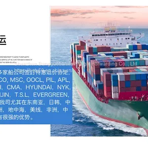 International Logistics of Singapore International Shipping to Amazon Warehouse Line thumbnail-3