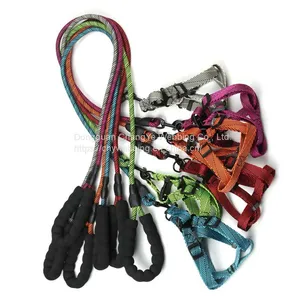 Pet Leash thumbnail-1