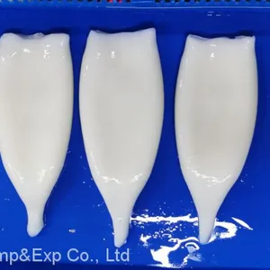 Frozen Squid Tube thumbnail-2