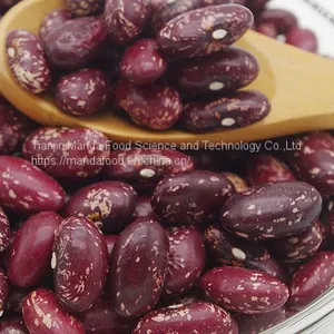 Purple Speckled Kidney Beans thumbnail-1