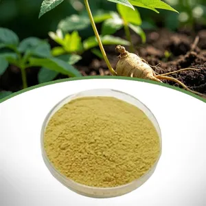 American Ginseng Extract thumbnail-1