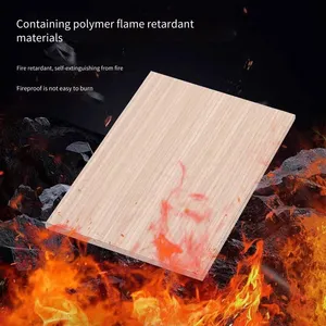 Ice and Fire Board, Class a Fireproof, e0 Grade Environmentally Friendly Decorative Panel With Calcium Silicate Substrate, Flame Retardant Board thumbnail-3