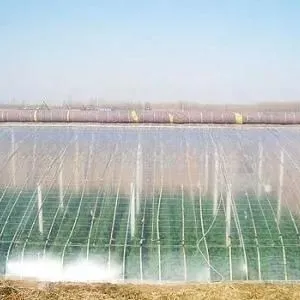 Agricultural Greenhouse Film Anti-Drip Anti-UV PE Plastic Greenhouse Film Roll thumbnail-2