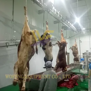 Turnkey 100 Cattle Per Shift Butcher Machine Abattoir Equipment Slaughterhouse for Cows and Lamb Meat Processing Machinery Plant thumbnail-4