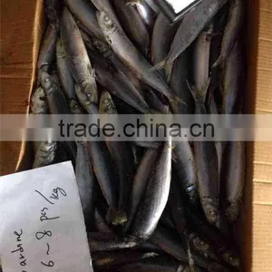 Frozen Sardine 100-150g thumbnail-2