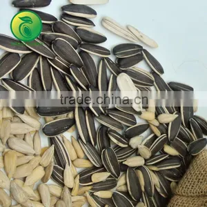 NON GMO Sunflower Seeds/Sunflower Seeds Kernel/Salted Sunflower Seeds thumbnail-4