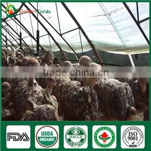 China Wholesale Supplier Fresh Organic Green Shiitake Mushroom Growing Log Kit thumbnail-3