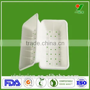 Professional Manufacturer Top Grade 90days Biodegradable Composable Hygiene Sugarcane Bagasse Molded Pulp Fruit Packaging Plates thumbnail-3