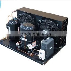 Condensing Unit Refrigeration Parts JDL-100 thumbnail-3