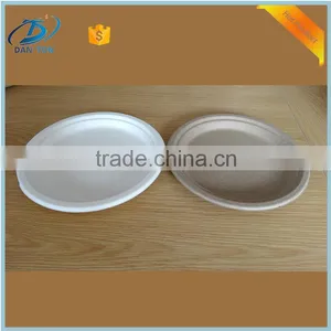 Wholesale Fancy Disposable Paper Lunch Plate in China Factory thumbnail-2