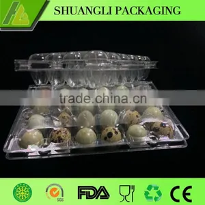 24 Holes Rectangular Clear Transparent Plastic Quail Egg Cartons thumbnail-2