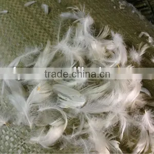 EN 12934 Washed White Goose Feather thumbnail-1