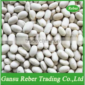 Japanese White Kidney Beans thumbnail-1