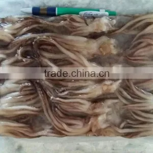 Squid Tentacle thumbnail-3