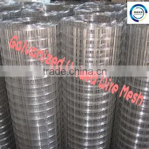 Zinc Coated&PVC Welded Wire Mesh thumbnail-1
