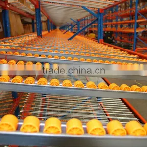 ISO 9001 Warehouse Industrial Rack Roller Manufacturers thumbnail-1