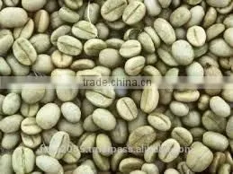 Coffee Beans From India thumbnail-5