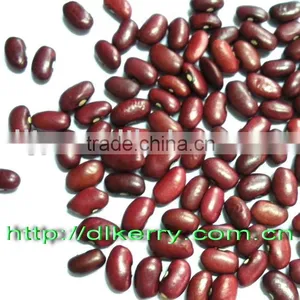 Chinese Small Red Kidney Beans 2008 Crop thumbnail-1