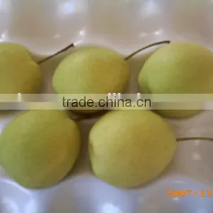 Fresh Shandong Pear 60-70-80 in 15kg Carton thumbnail-4