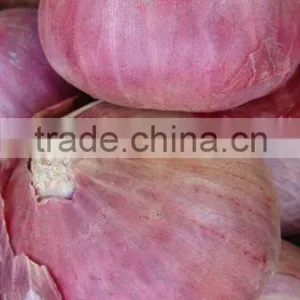 2016 Pakistan New Crop Non-Peeled Fresh Red Onion thumbnail-1