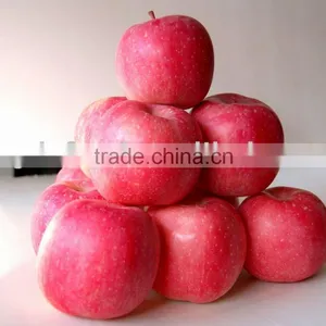 Supply Red FUJI Apples thumbnail-1