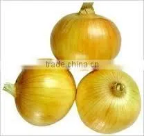 New Crop Fresh Yellow Onion thumbnail-1
