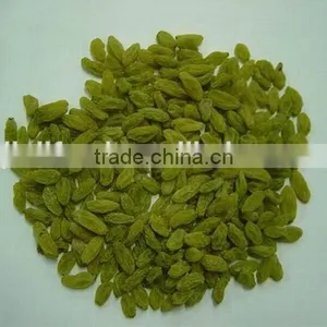 High Quality Green Raisin From China thumbnail-2