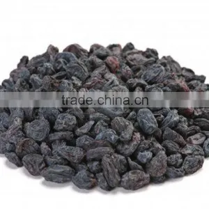 INDIAN BEST RATE BLACK RAISIN EXPORTER thumbnail-6