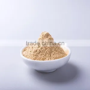 80 Mesh Grated Fresh Ginger Ginger Powder thumbnail-1