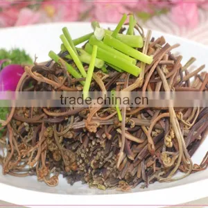 Salted Bracken(warabi) thumbnail-2