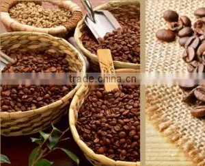 Cau Dat Arabica Catimor Beans With Fairtrade Certification thumbnail-5