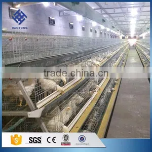 30 Years' Factory Supply Automatic Chicken Broiler Cages thumbnail-2
