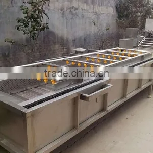 Hot Sale Vegetable Bubble Washing Machine/bean Sprout Washer Machine/bean Washing Machine thumbnail-3